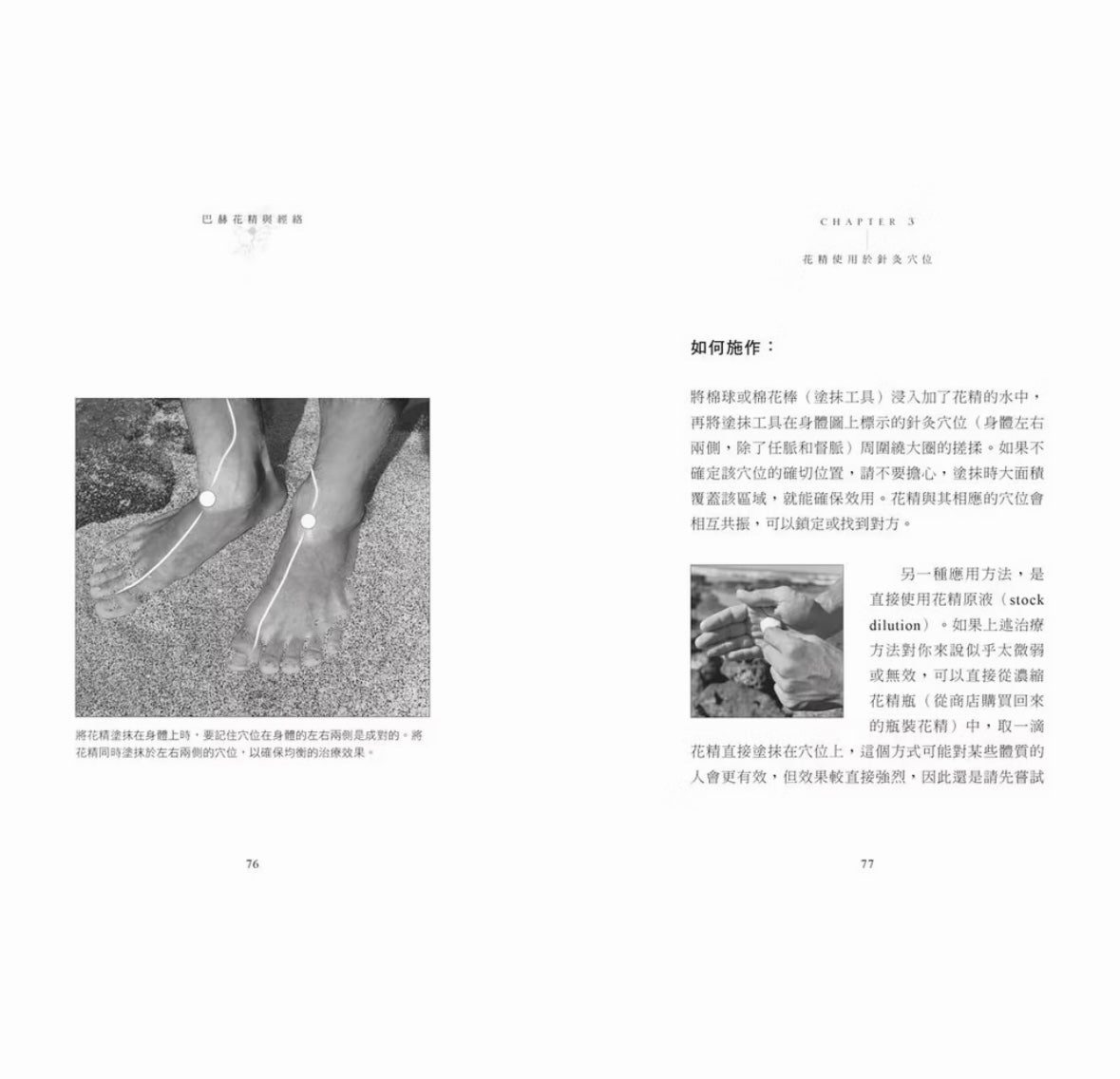 巴赫花精與經絡:透過花精穴位敷貼,由身入心,校調整體能量,綻放生命光彩