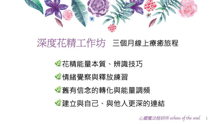 深度花精工作坊~與花精共振,陪伴自己內在的療癒之旅