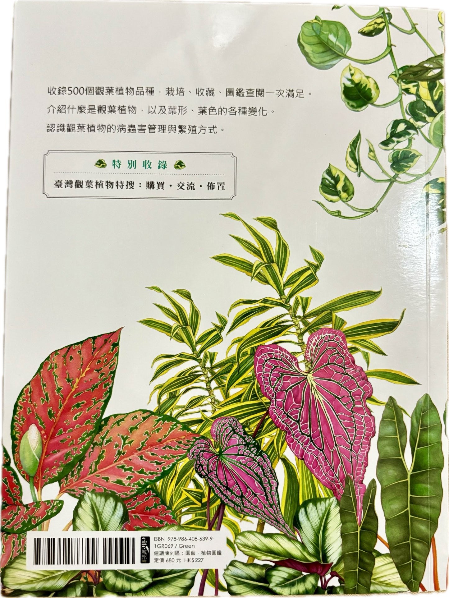 觀葉植物圖鑑:500種風格綠植栽培指南