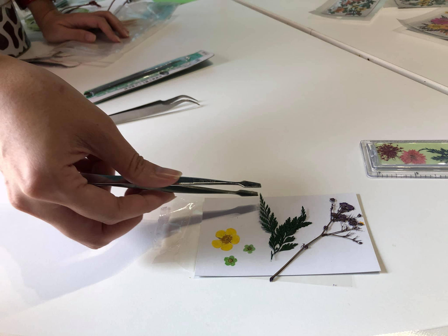 拈花惹草~手作押花夜燈