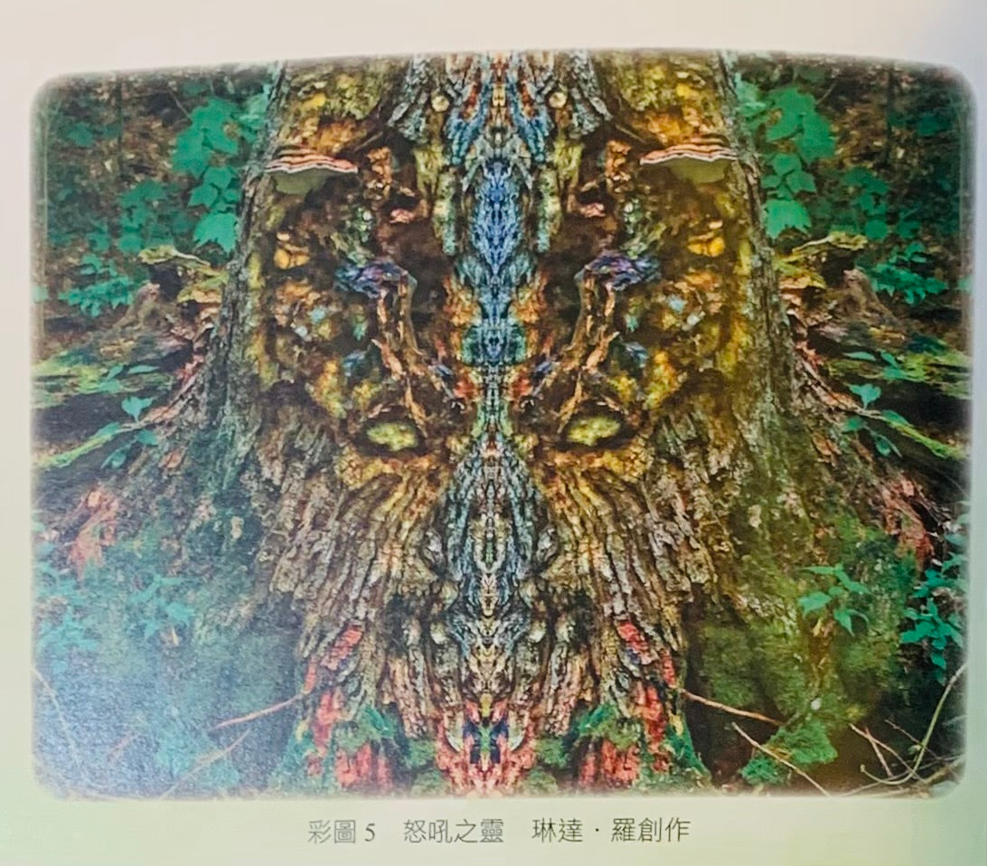 神奇的植物靈療癒法(二版):運用植物意識療癒你的身心靈 Plant Spirit Healing: A Guide to Working with Plant Consciousness