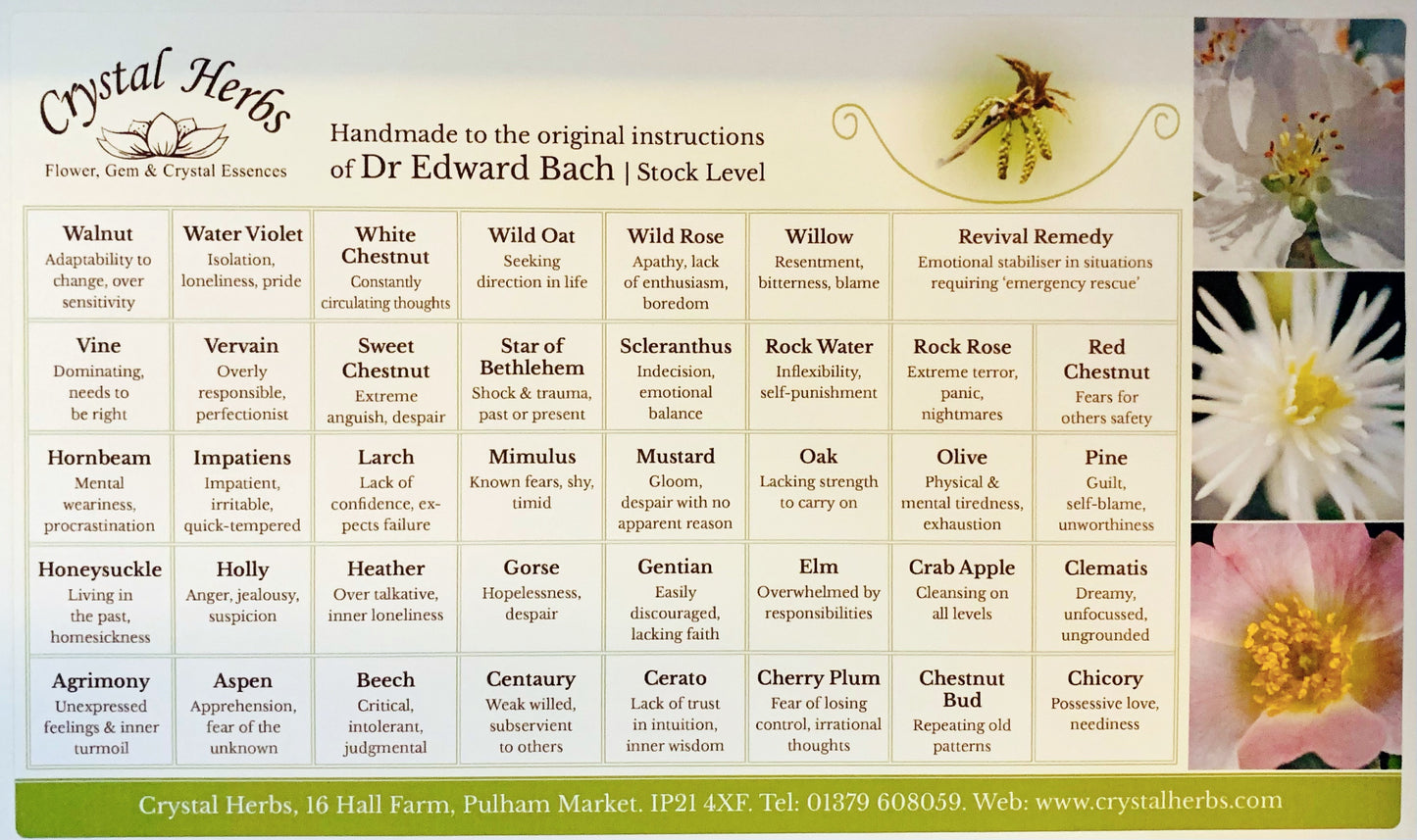 龍膽花精 (Gentian)