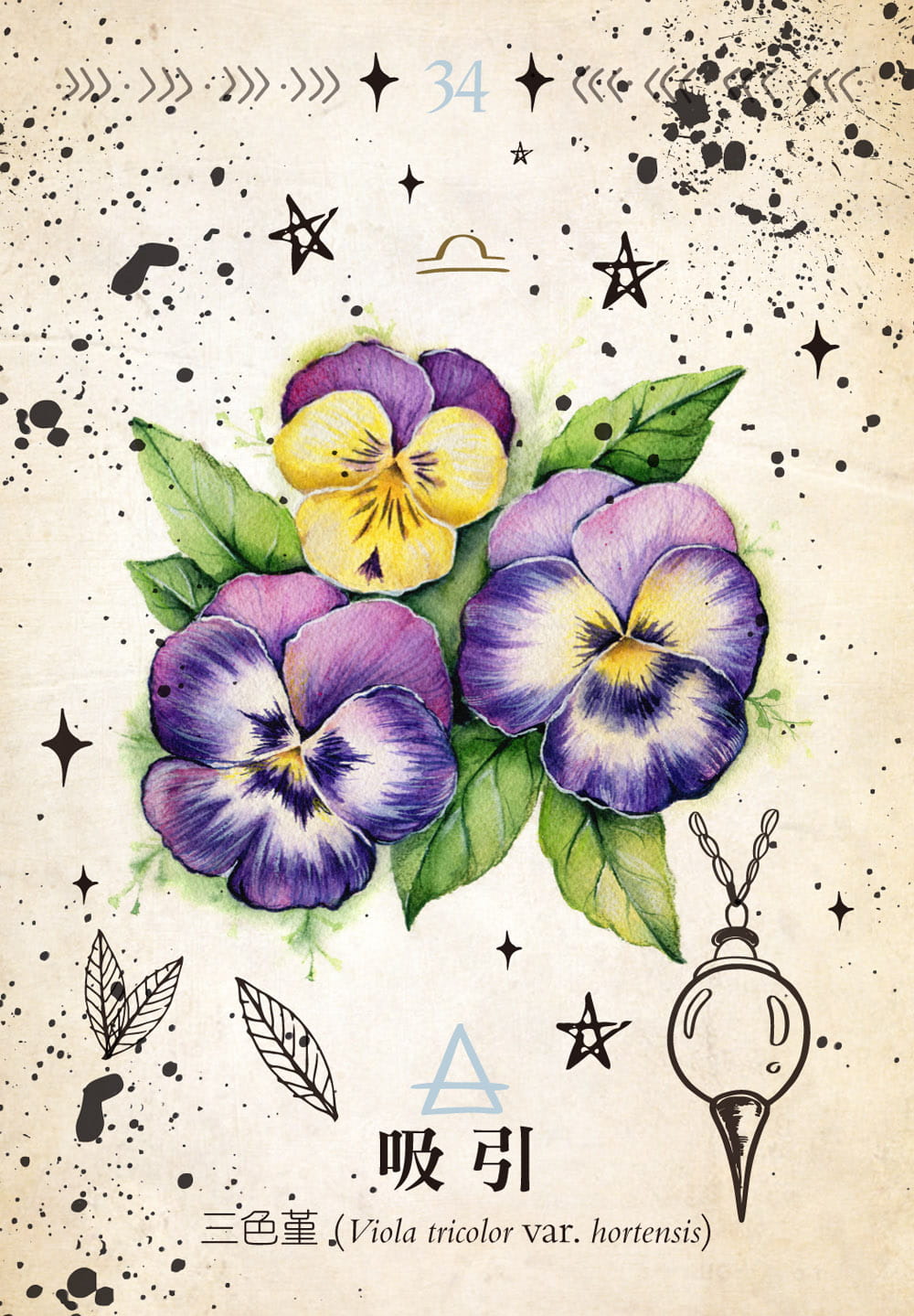 綠魔法神諭卡:汲取蔬果、花卉與藥草的魔法能量,幫你找到答案,創造愛情與富足的人生 Green Witch Oracle: Discover real secrets of botanical magick