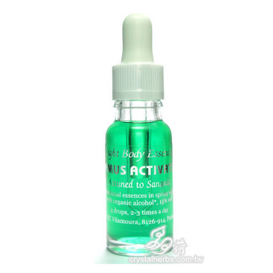 彩虹光體花精:胸腺花精15ml (Thymus Energy Point)