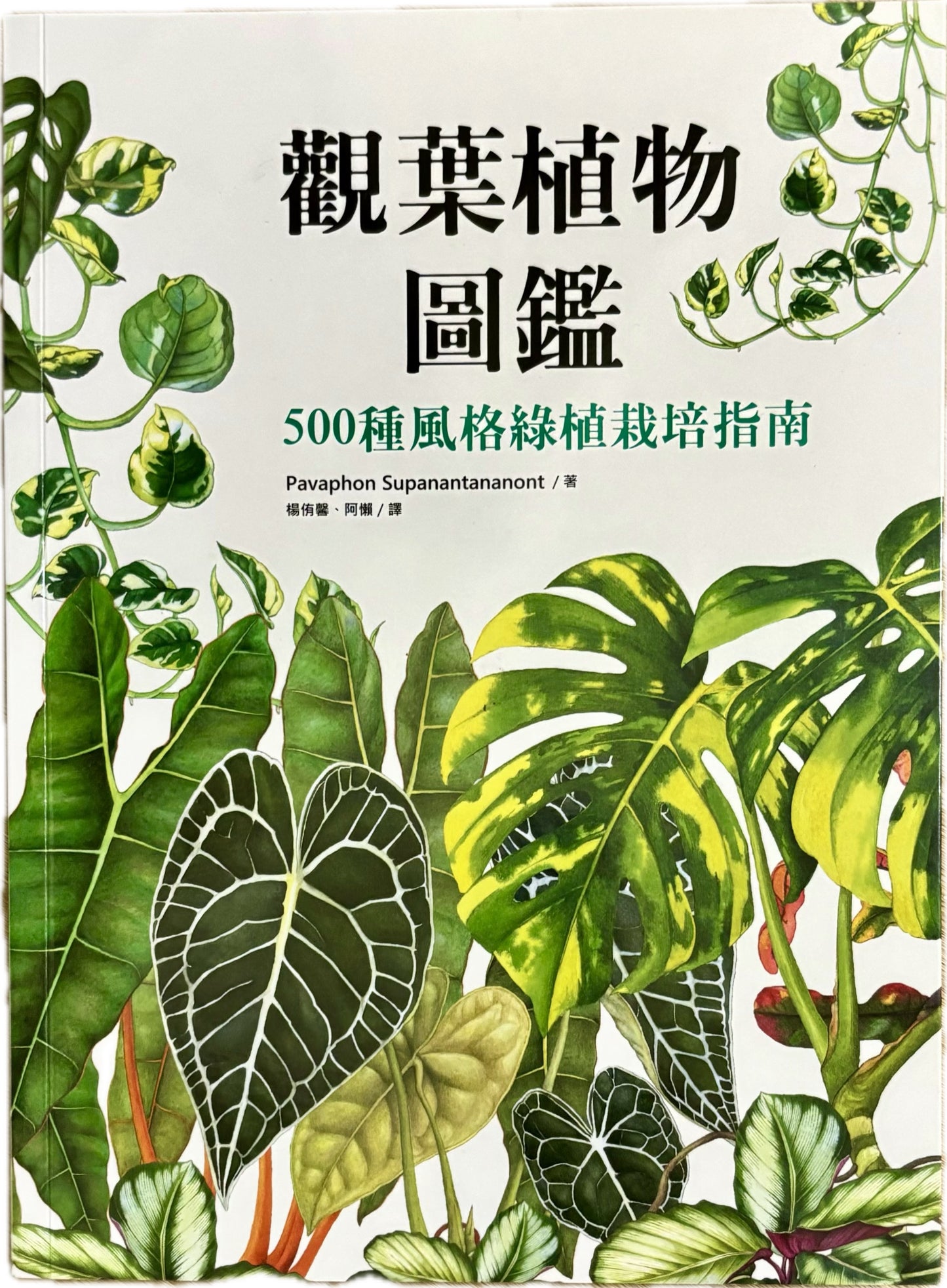 觀葉植物圖鑑：500種風格綠植栽培指南