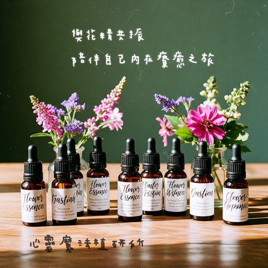 深度花精工作坊~與花精共振,陪伴自己內在的療癒之旅