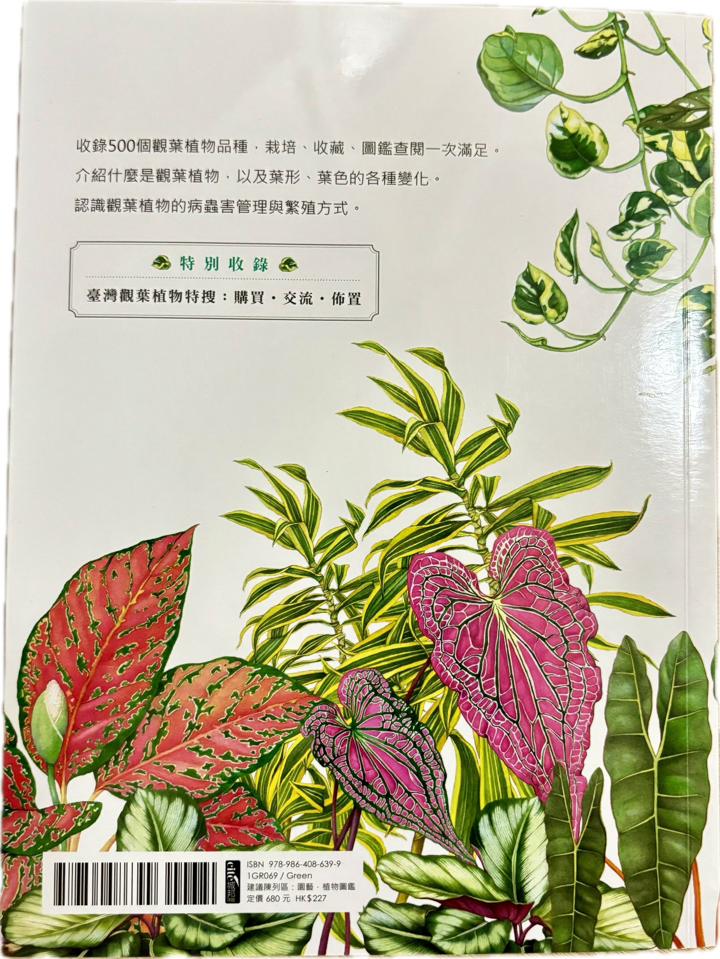 觀葉植物圖鑑：500種風格綠植栽培指南