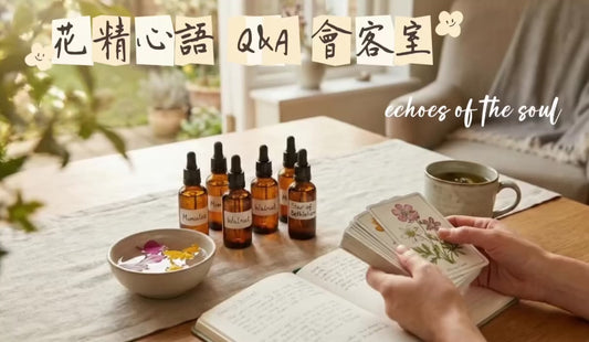 【花精心語 Q&A 會客室】🌺2026 全新啟動：在變動中，安住自心