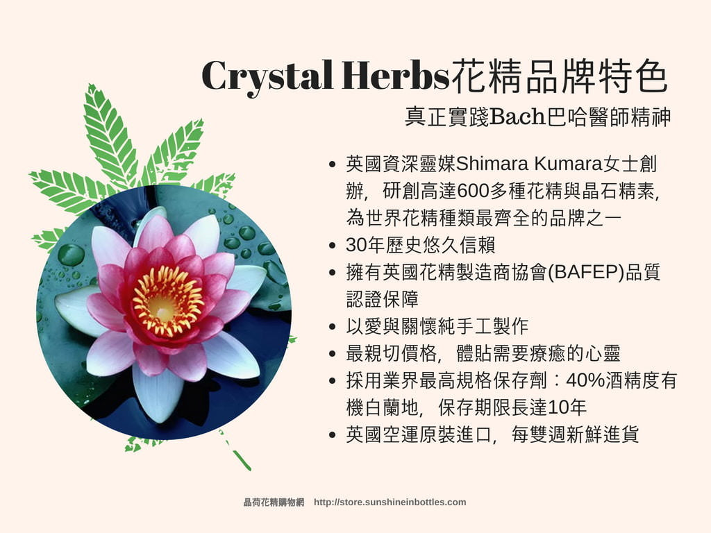 彩虹光體花精：靈魂之星花精15ml (Soul Star)